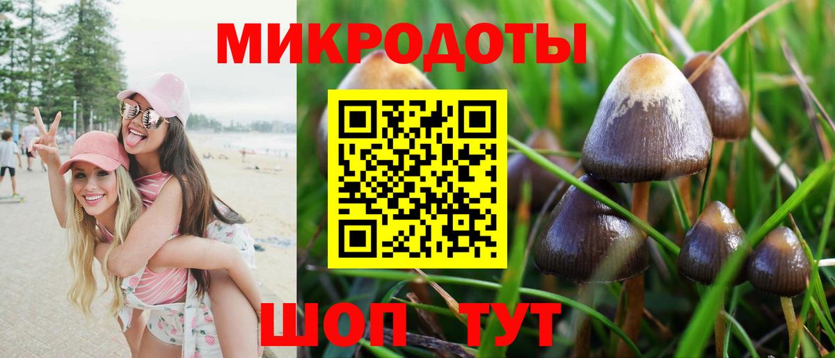Галлюциногенные грибы прущие грибы  Вход с VPN  Елизово 